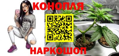 mdma Новозыбков