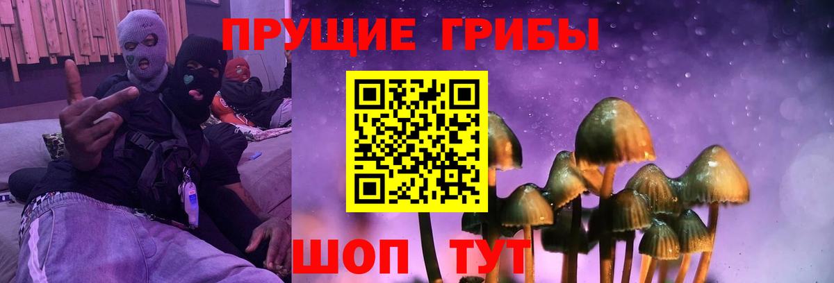 Псилоцибиновые грибы Psilocybine cubensis Великие Луки